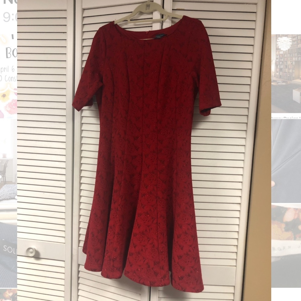 Red Rose Detailed Dress